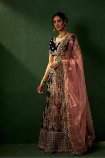 Multicolour Embroidered Lehenga choli with Blouse